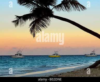 Palmier et des bateaux de pêche à la plage tropicale au coucher du soleil l'accent sur palmier Banque D'Images