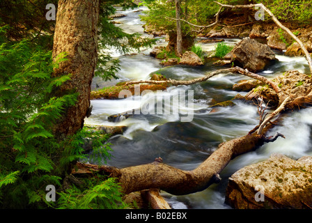 Rocky River rapids au désert en Ontario Canada Banque D'Images