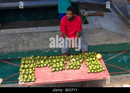 Marché des Caraïbes vendeur vente de mangues Banque D'Images