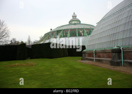 D'hiver, les Serres Royales de Laeken, château de Laeken, Avenue du Parc Royal, Laeken, Bruxelles, Belgique Banque D'Images