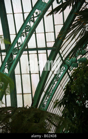 L'intérieur de l'hiver, les Serres Royales de Laeken, Bruxelles, Belgique, - l'architecte Alphonse Balat Banque D'Images