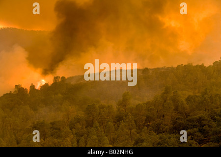 50 000 hectares de forêt de la Californie à Henry Coe State Park au sud de San Jose est battu par CAL Fire CDF Banque D'Images