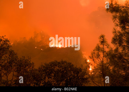 50 000 hectares de forêt de la Californie à Henry Coe State Park au sud de San Jose est battu par CAL Fire CDF Banque D'Images