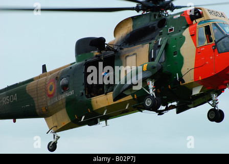 L'hélicoptère Sea King utilisés par la Force Aérienne Belge. Banque D'Images