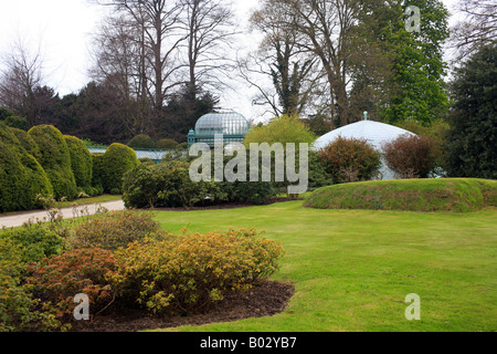Maison miroir et Géranium Royal Galerie Serres de Laeken, Bruxelles, Belgique Banque D'Images