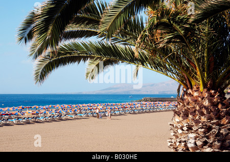 Lanzarote : plage de Puerto del Carmen Banque D'Images