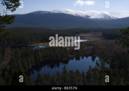 Uath Lochan, bordée d'un loch écossais (lac) avec des montagnes en arrière-plan. Banque D'Images