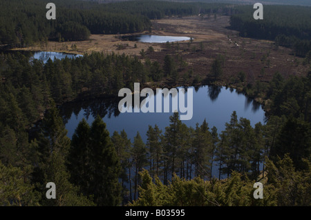 Uath Lochan, bordée d'un loch écossais (lac) avec des montagnes en arrière-plan. Banque D'Images