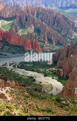 Valley près de Tupiza Bolivie Altiplano Amérique du Sud Banque D'Images