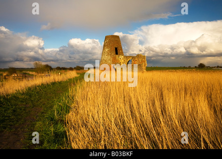 Le reste de la porterie de l'ancien site de l'abbaye de St Benets sur les Norfolk Broads Banque D'Images