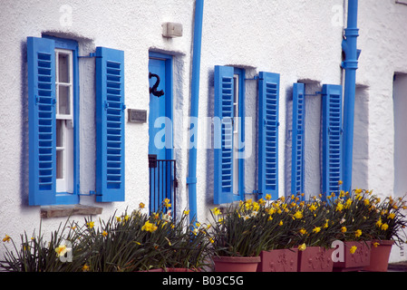 Volets bleu et jaune jonquilles en dehors de cottages, St Mawes, Cornouailles Banque D'Images