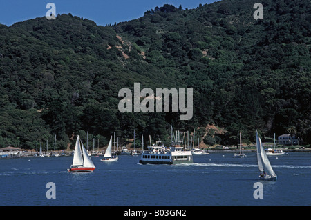 Ayala Cove, Angel Island, San Francisco Bay, California, USA Banque D'Images