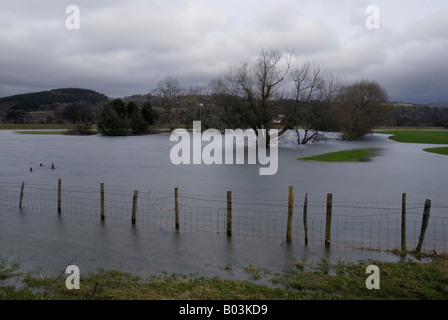 Champ inondé dans la vallée de Conwy dans le Nord du Pays de Galles Banque D'Images