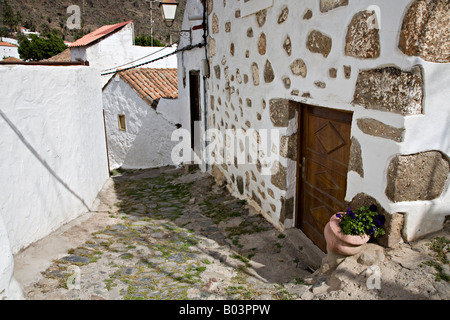 Rue étroite dans le vieux village de Fataga Gran Canaria 'Canaries' Espagne Banque D'Images