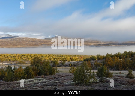 Montagne avsjoen wolkenverhangen morgendaemerung berg nuageux aube matin Oppland Norvège Norvège nordeuropa nord Europe Banque D'Images