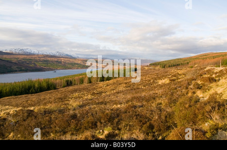 La lumière de début de soirée sur le Loch Duich Scotland UK Banque D'Images