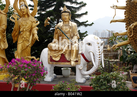 Statue de Bouddha sur l'éléphant au Temple de 10 000 Bouddhas à Hong Hong Banque D'Images