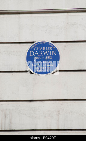 Le London County Council blue plaque à l'extérieur de l'University College de Londres qui marque le site où Charles Darwin a vécu Banque D'Images