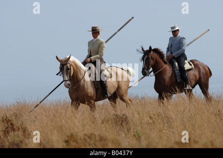 Spanische Reiter Garrocha Espagne Rider academie Banque D'Images