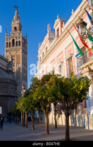 La Giralda (clocher/minaret) et la Cathédrale de Séville, Site du patrimoine mondial de l'UNESCO, vue depuis la Plaza del Triunfo (Square) Banque D'Images