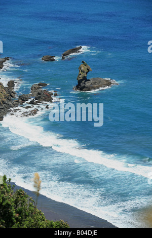Piha avec le rocher du Lion de Tasman lookout track île du Nord Nouvelle-zélande Banque D'Images