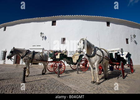 La calèche tours en dehors de la Plaza de Toros (construit en 1785), l'arène de corrida de la ville de Ronda, Costa del Sol Banque D'Images