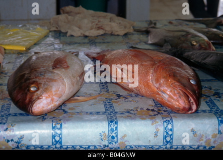 Ras Al Khaimah ÉMIRATS Souk Poissons Deux poissons sur la table Banque D'Images