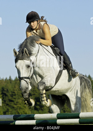 Jeune dame-cavalier sautant sur le dos d'un cheval allemand Banque D'Images