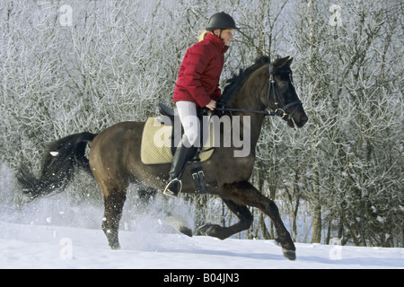 Jeune sur le dos de poney allemand d'hiver au galop Banque D'Images