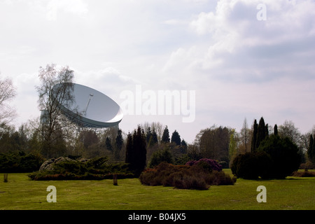 Observatoire Jodrell Bank, Macclesfield, montrant le radiotélescope et arboretum. Banque D'Images