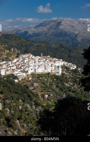 Village blanc de Algatocin, Pueblos Blancos, backdropped par la Serrania Penibetica et Serrania de Ronda, Costa del Sol Banque D'Images