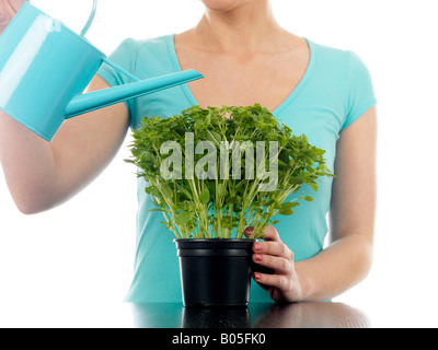 Jeune femme d'arroser un pot de fines herbes prêts à prendre et faire cuire avec un bidon isolé sur un fond blanc et Clipping Path Banque D'Images