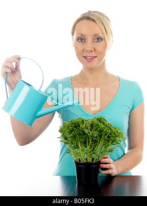 Jeune femme d'arroser un pot de fines herbes prêts à prendre et faire cuire avec un bidon isolé sur un fond blanc et Clipping Path Banque D'Images