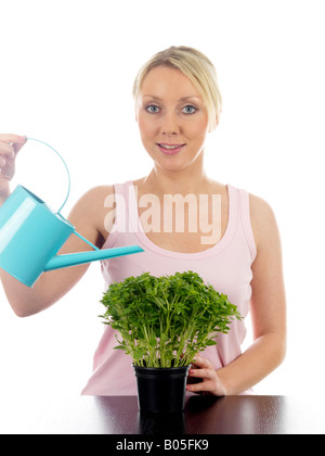 Jeune femme d'arroser un pot de fines herbes prêts à prendre et faire cuire avec un bidon isolé sur un fond blanc et Clipping Path Banque D'Images