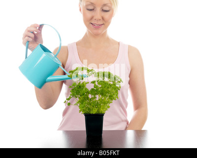 Jeune femme d'arroser un pot de fines herbes prêts à prendre et faire cuire avec un bidon isolé sur un fond blanc et Clipping Path Banque D'Images