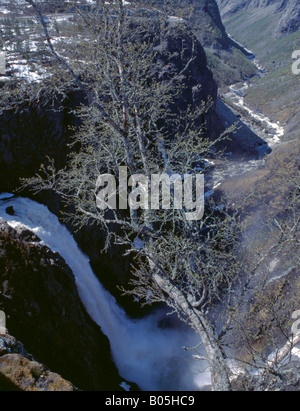 Cascade Vøringfossen (145m de dénivelée) avec au-delà du canyon, au-dessus de Eidfjord, Hordaland, Norvège. Banque D'Images