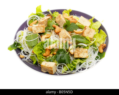 Frais sain du tofu frit et Thread et nouilles Salade asiatique isolé sur un fond blanc avec un chemin de détourage et aucun peuple Banque D'Images