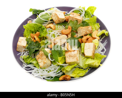 Frais sain du tofu frit et Thread et nouilles Salade asiatique isolé sur un fond blanc avec un chemin de détourage et aucun peuple Banque D'Images