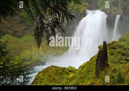 Sahalie Falls sur la rivière McKenzie Forêt nationale de Willamette des Cascades en Oregon Banque D'Images