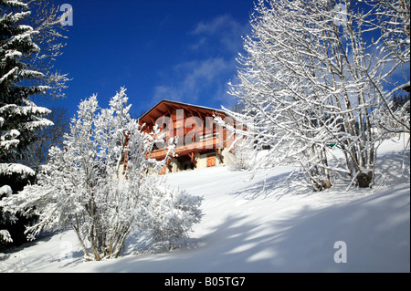 Shot de certains arbres couverts de neige contre un ciel bleu avec un chalet traditionnel en bois à l'arrière-plan Banque D'Images