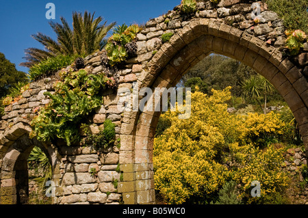 Une voûte en pierre dans le cadre de l'abbaye ruines à Tresco Abbey Gardens, à l'île de Scilly Banque D'Images