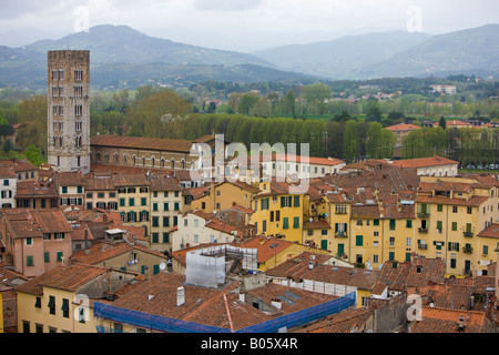 Voir à partir de la Torre Guinigi (tour) de la Basilique de San Frediano avec son campanile et sur les toits de la ville de Lucca Banque D'Images