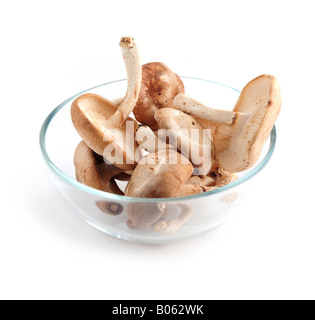 Champignons shiitake frais dans un bol en verre isolé sur fond blanc Banque D'Images