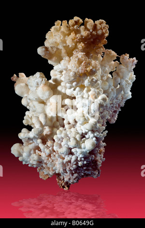 Var Aragonite Flos Ferri Santa Rita Mountains dans le comté de Santa Cruz en Arizona Banque D'Images