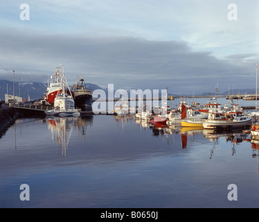 Bateaux de pêche au port de l'aube, Reykjavik, une plus grande zone de Reykjavík, République d'Islande Banque D'Images