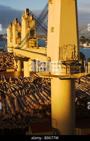 Un plein chargement de billes sur le pont d'un navire prêt à appareiller Banque D'Images