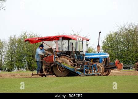 Coupe de gazon commerciale, UK Banque D'Images