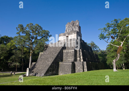 Guatemala, El Petén, Tikal, Gran Plaza, Temple 11 Banque D'Images