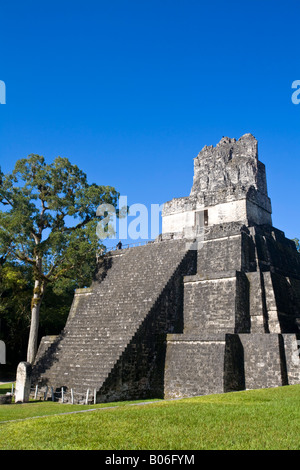 Guatemala, El Petén, Tikal, Gran Plaza, Temple 11 Banque D'Images