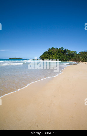 Panama, Bocas del Toro Province, l'île de Bastimentos (Isla Bastimentos) Red Frog Beach Banque D'Images